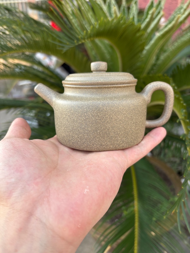 大亨德忠黄龙山青段50目无添加精工制作约250cc紫砂壶茶具泡茶壶