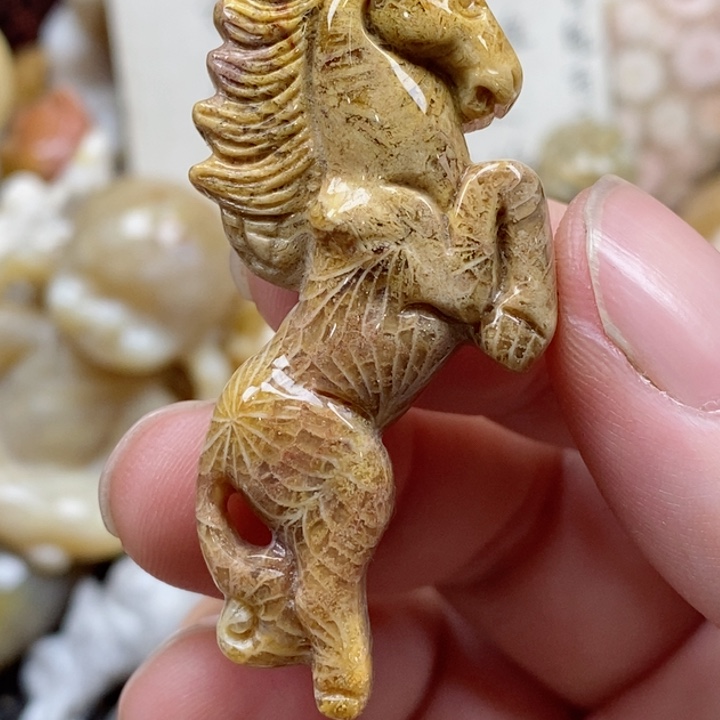 颈饰未镶嵌硅化珊瑚（珊瑚玉）