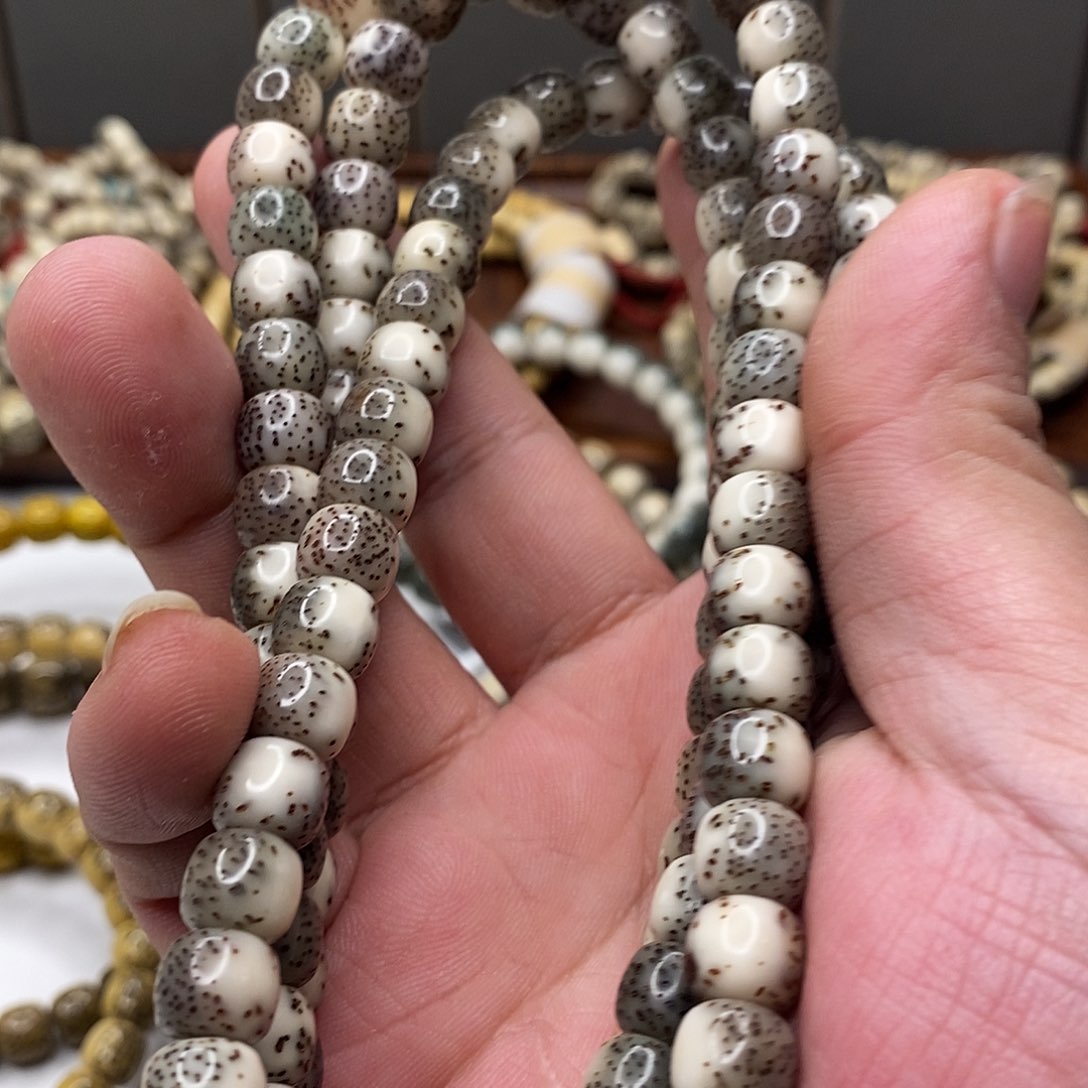 星月菩提手串P****x河豚