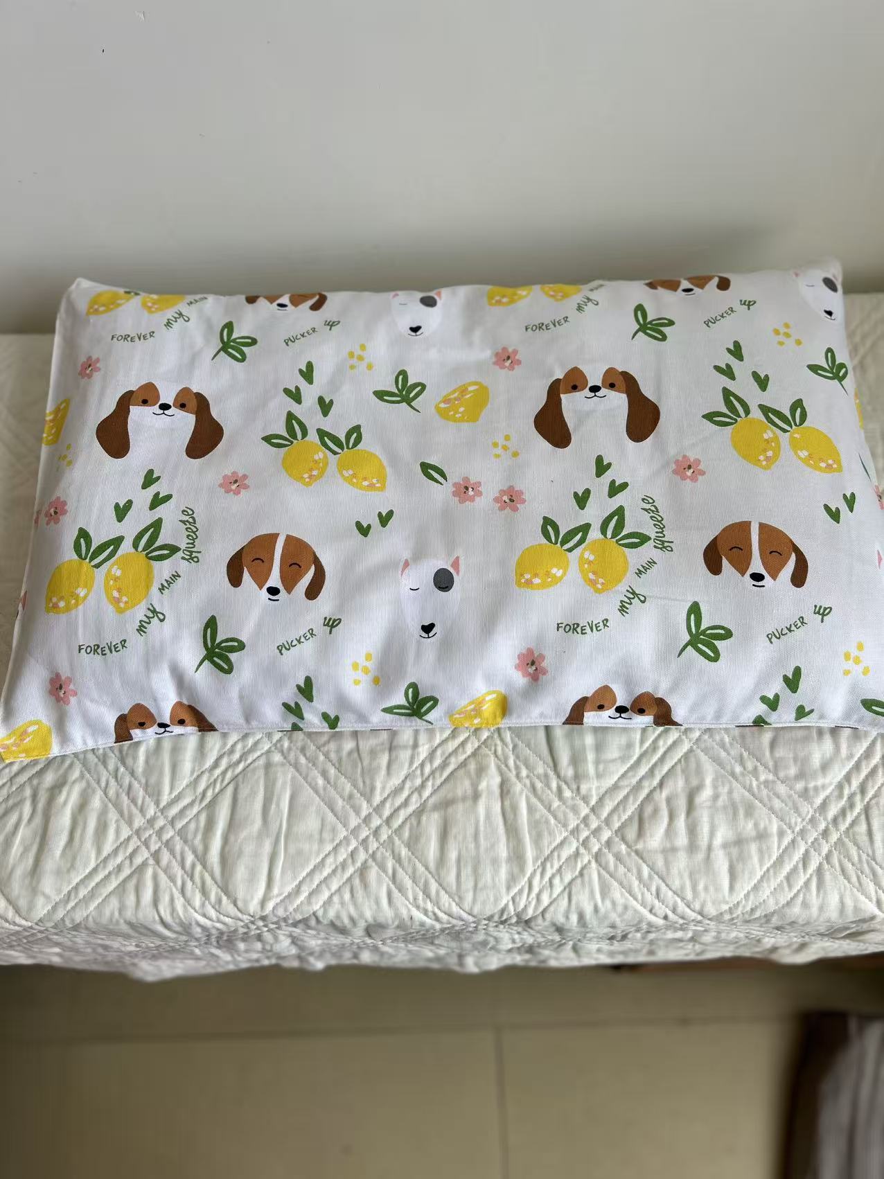 外贸可拆洗棉帆布四季通用小垫子 狗垫子猫垫子 狗床垫子狗窝