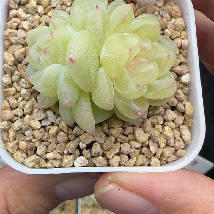 320号财富密码8888