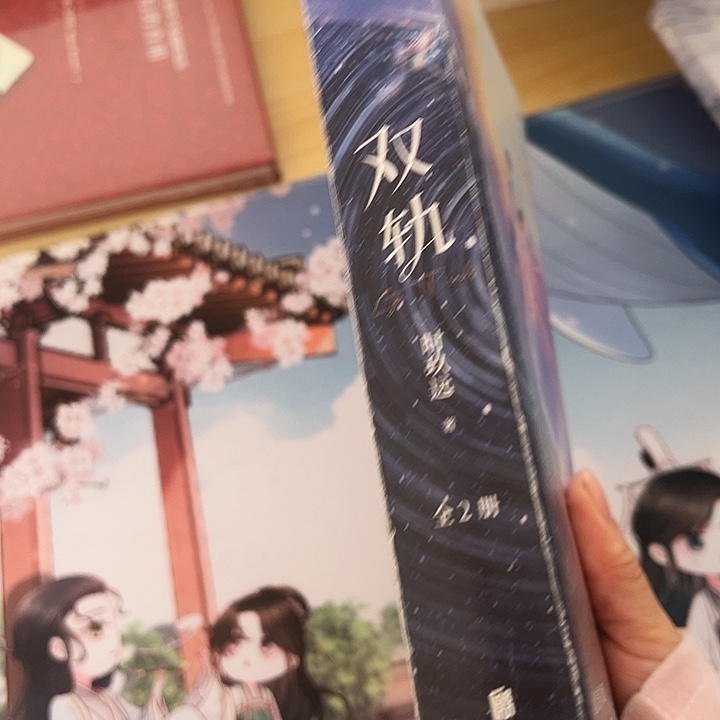 正版书籍 双轨一套两本