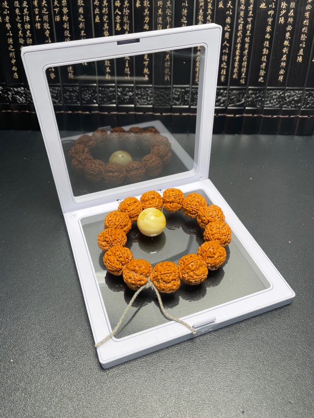 新品大金刚菩提（5号）