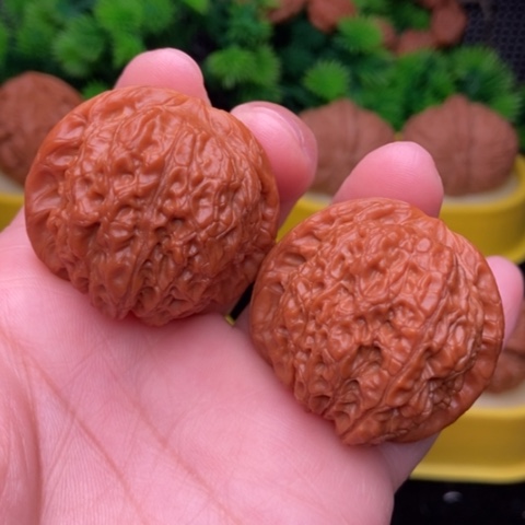 血麒麟39精修111111