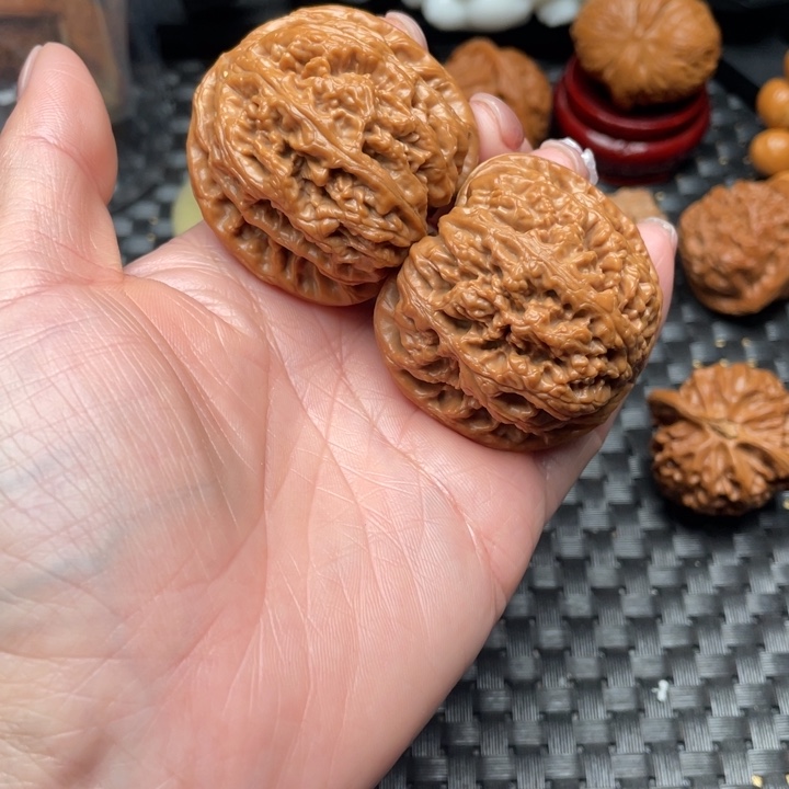 43➕全品粗筋，打底发货