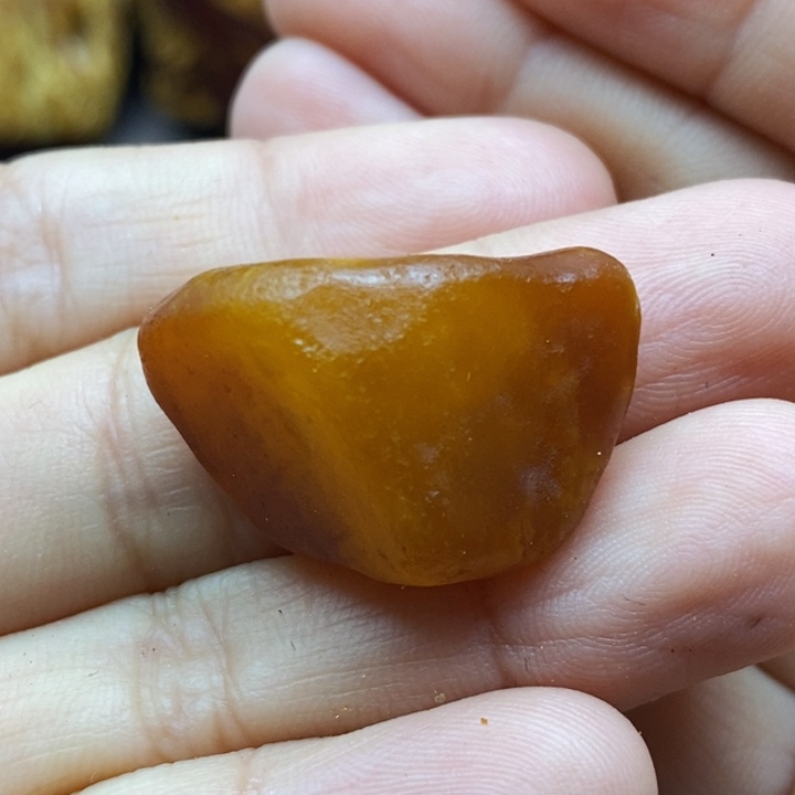 琥珀颈饰未镶嵌蜜蜡全皮