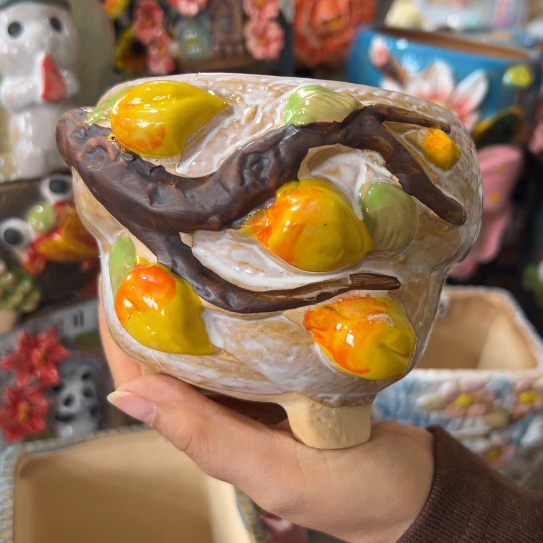 花盆，拍满20发货，退款拉黑