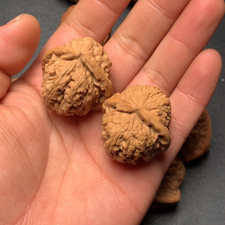 文玩核桃把件34白狮子1119