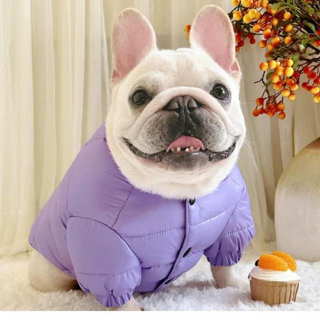 法斗棉服巴哥棉袄宠物狗狗棉衣冬季衣服外套保暖防寒加厚胖狗衣服