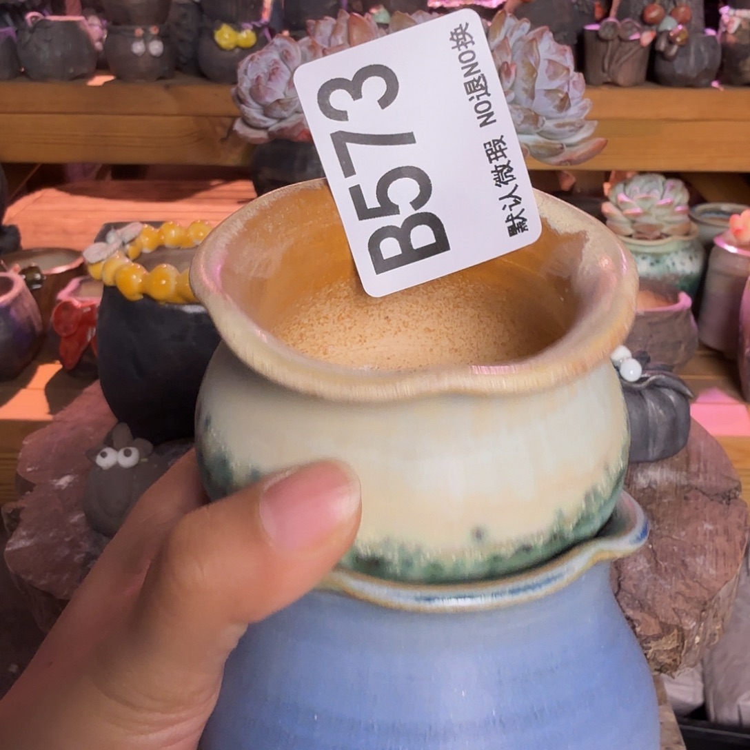 重庆小燕子欢迎大家573