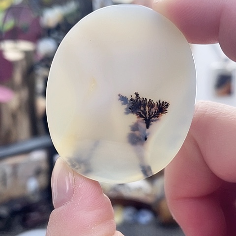 玛瑙/玉髓珠宝奇石未镶嵌