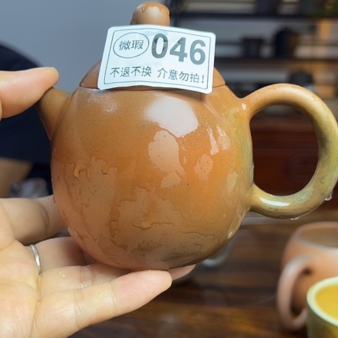 戬谷龙窑柴烧茶壶046