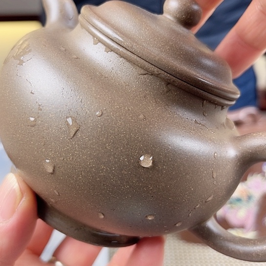 紫砂茶壶今天不来吃饭