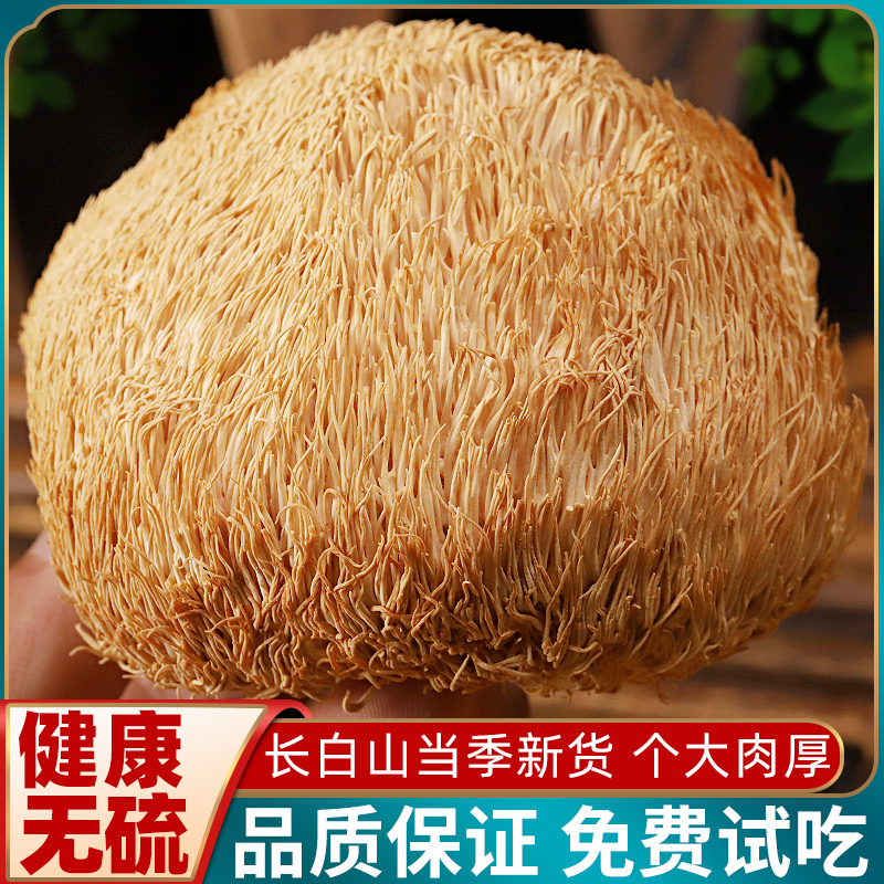 东北长白山特产猴头菇干货正品煲汤炖鸡粉非江中饼干非野生新鲜