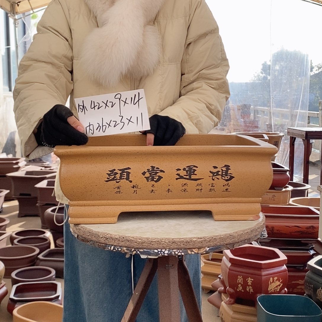 紫砂花盆紫砂花盆