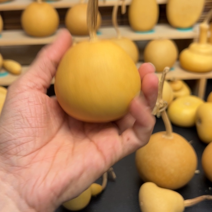 置**行葫芦葫芦葫芦葫芦葫芦葫芦