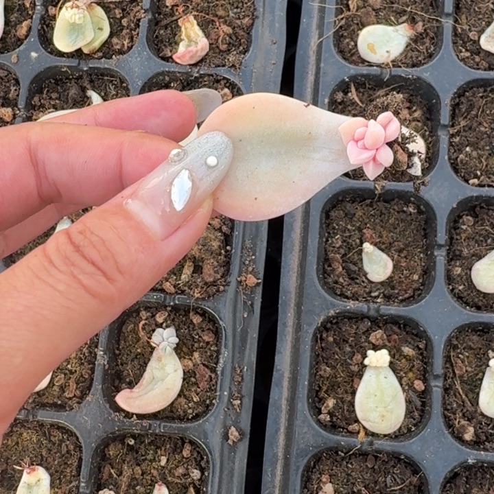 福袋福袋福袋福袋福袋