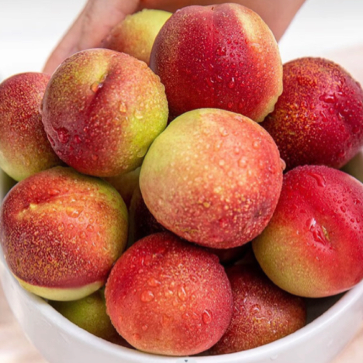 枣蜜桃 新鲜脆甜 坏果包赔 顺丰包邮新疆维吾尔自治区