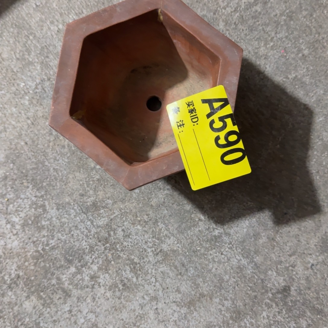 好***树杂色豆（科檀/科特迪瓦檀木）