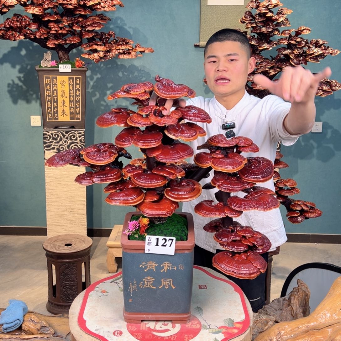 无花朵888888888888