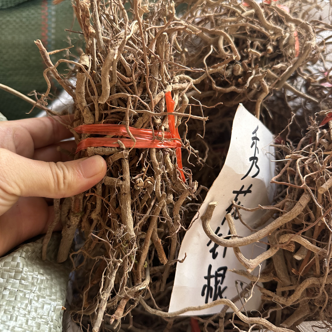 虎刺 绣花针纯根部中草药新货中药材 绣花针根