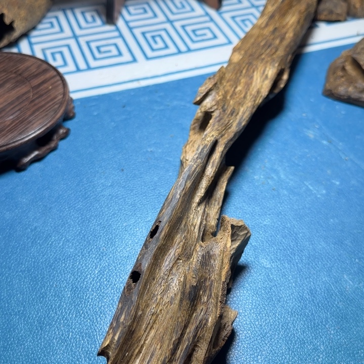 香粉绿奇陆河虫漏200克