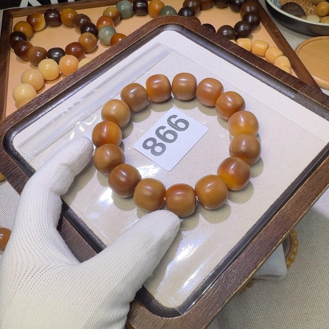 菲***子菩提根/象牙果吊坠纯天然18干磨洒金