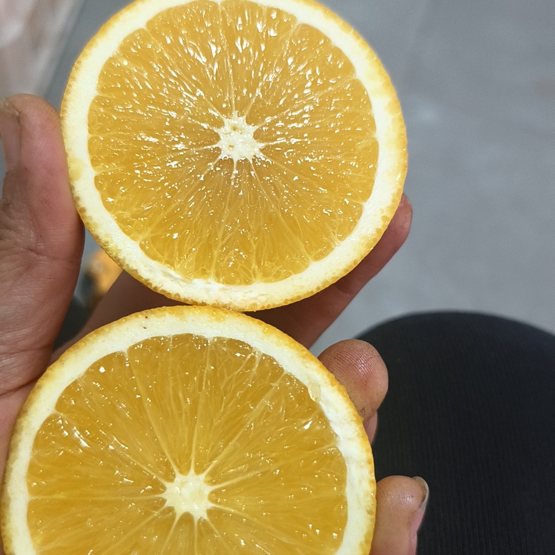 “农家肥灌溉”黄云霞自家果园正宗麻阳冰糖橙新鲜水果当季脆甜爽口