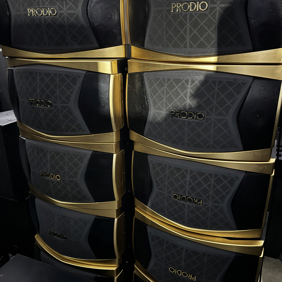 8新  二手宝迪奥12寸卡包音响一对（不包邮）保修一个月