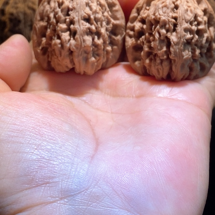 文玩核桃把件紫*37福利高炮凹底