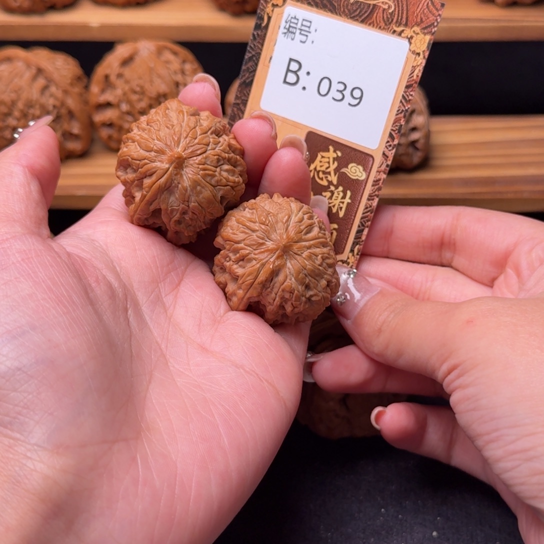 核桃b039不认识1222