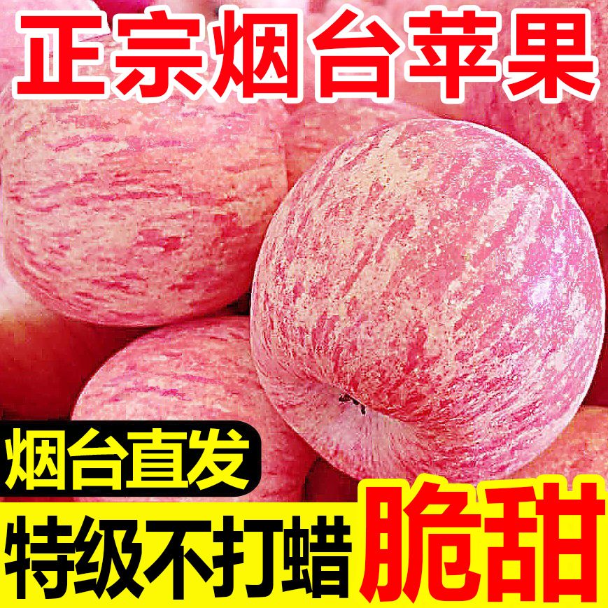 山东烟台红富士苹果 当季新鲜水果 脆甜多汁 带箱5/10斤现摘现发
