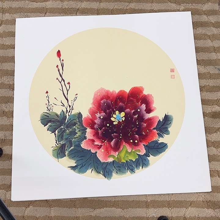 国画花鸟的翅膀和翅膀都是白色的翅膀