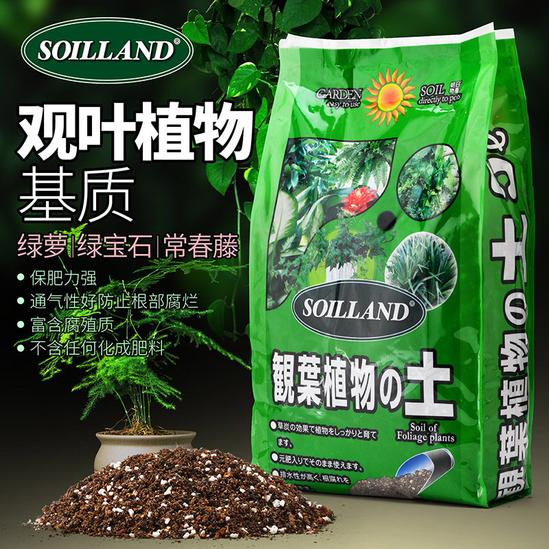 【新疆包邮】SOILLAND大柿园艺发财树龟背竹虎皮兰观叶土用了都说好