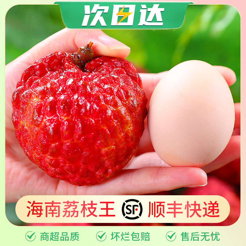 【顺丰明天到】正宗海南火山口荔枝王荔枝1-5斤新鲜水果当季大妃子火山口早熟荔枝同城配送次日达江浙次日达