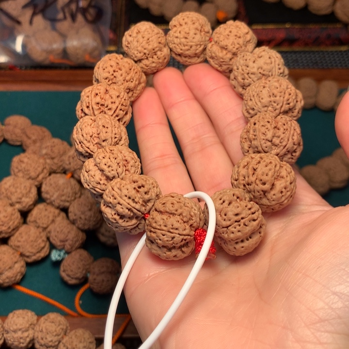 金刚菩提手串天**勤龙牙次超头21-22