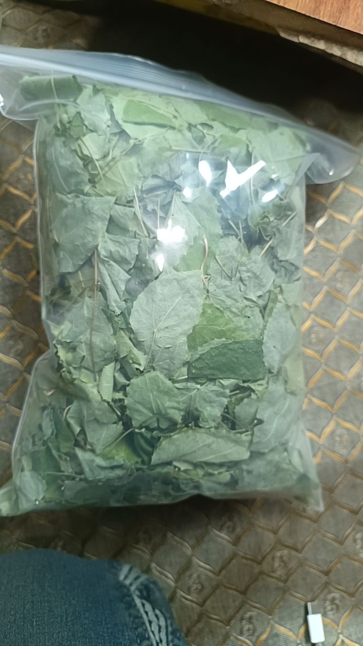 甘肃小圆叶淫羊藿可泡水泡酒高含量三枝九叶草淫山羊藿叶子500g