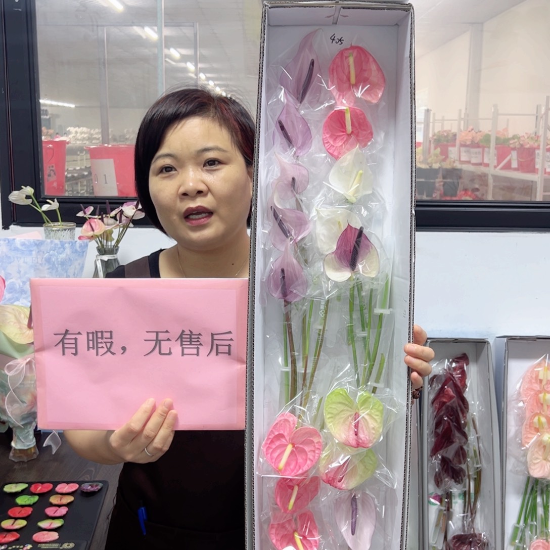 完全开放混色-20枝装无售后款405