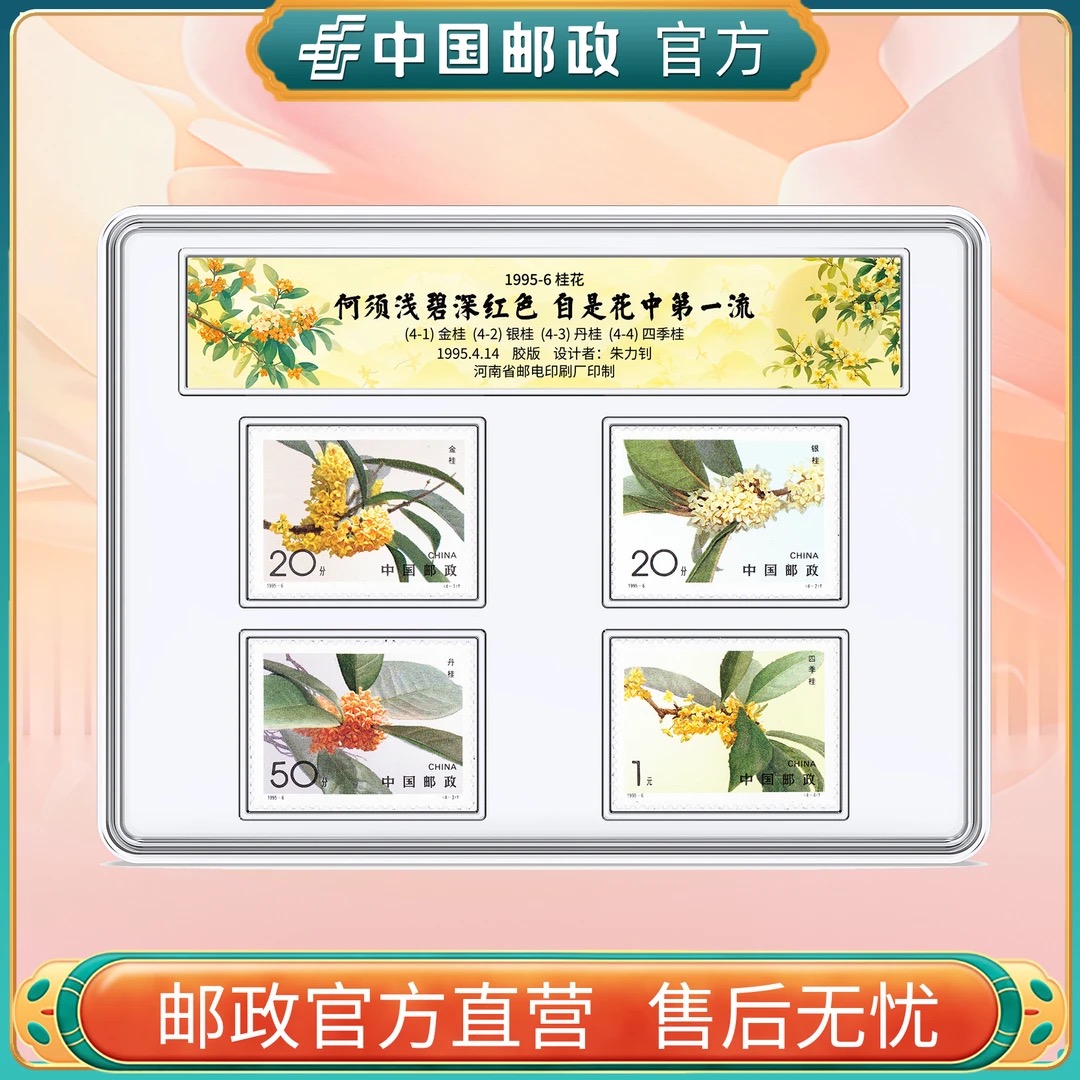 中国邮政官方 1995-6桂花邮票