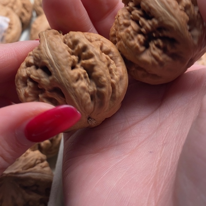 大****霸王龙全品无修一道没动