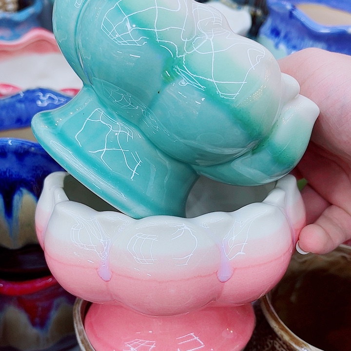 多肉植物陶瓷花盆