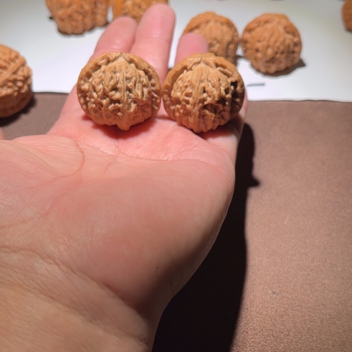 是***啊精品白狮子35尺寸