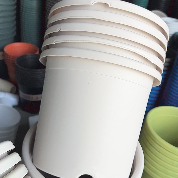 缺口5#灰白6个无托