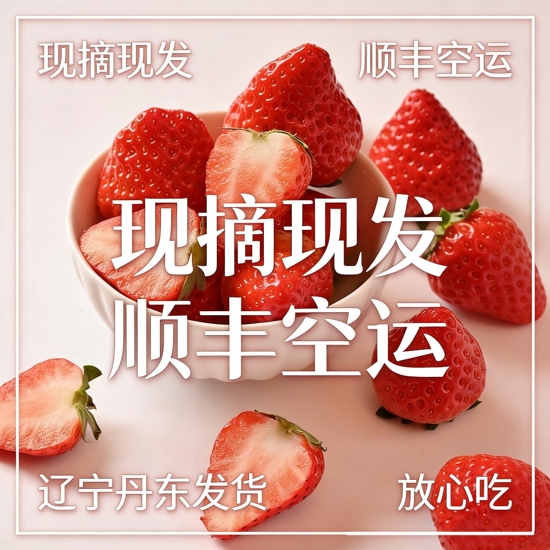 【头茬】丹东99草莓 现采现摘顺丰冷链 坏果必赔