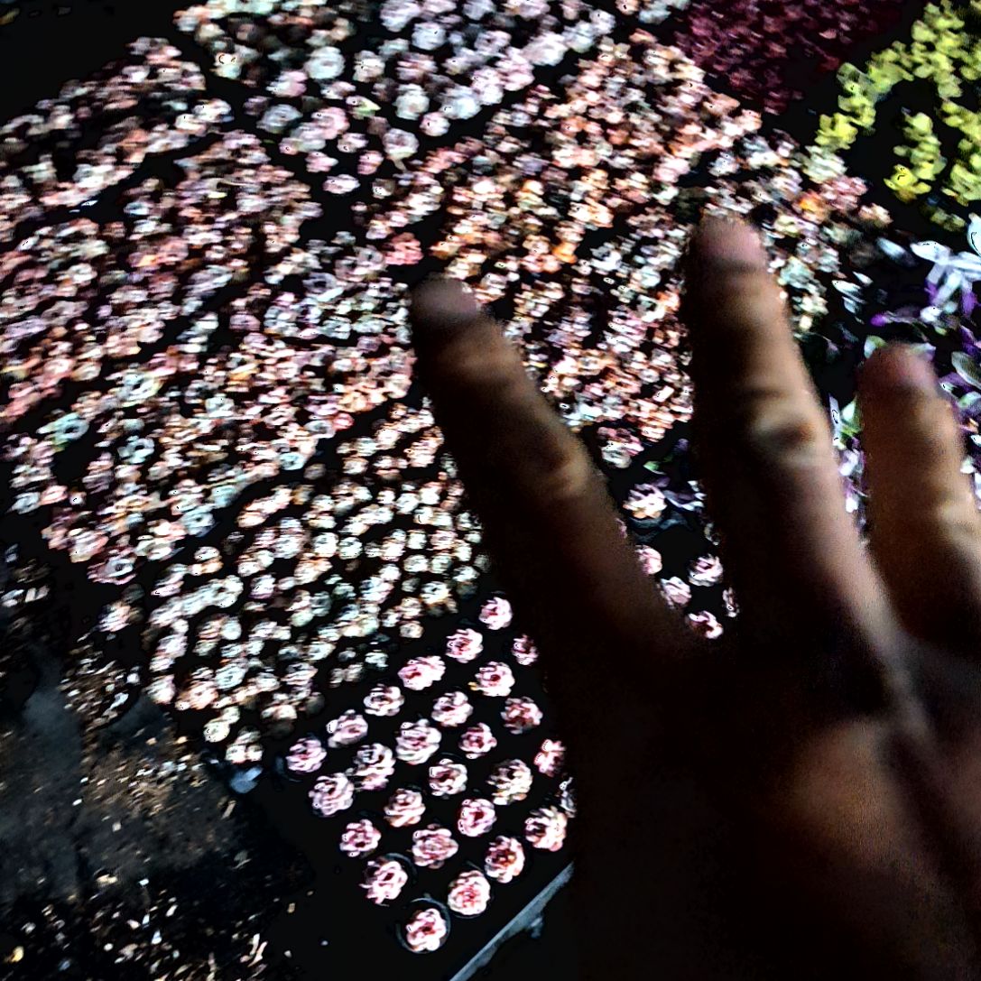 满9元包邮，五颗不同绝绝子巨好，找主播配