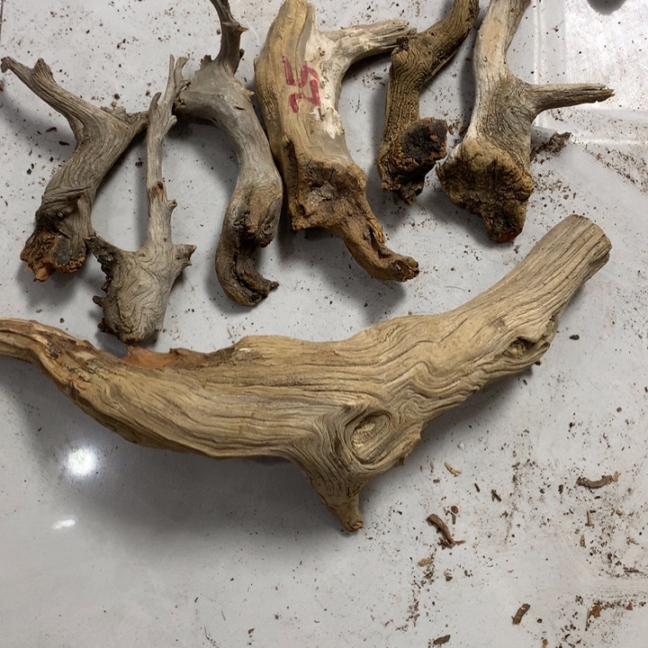 欢***好无花朵今天晚上在学校吃饭