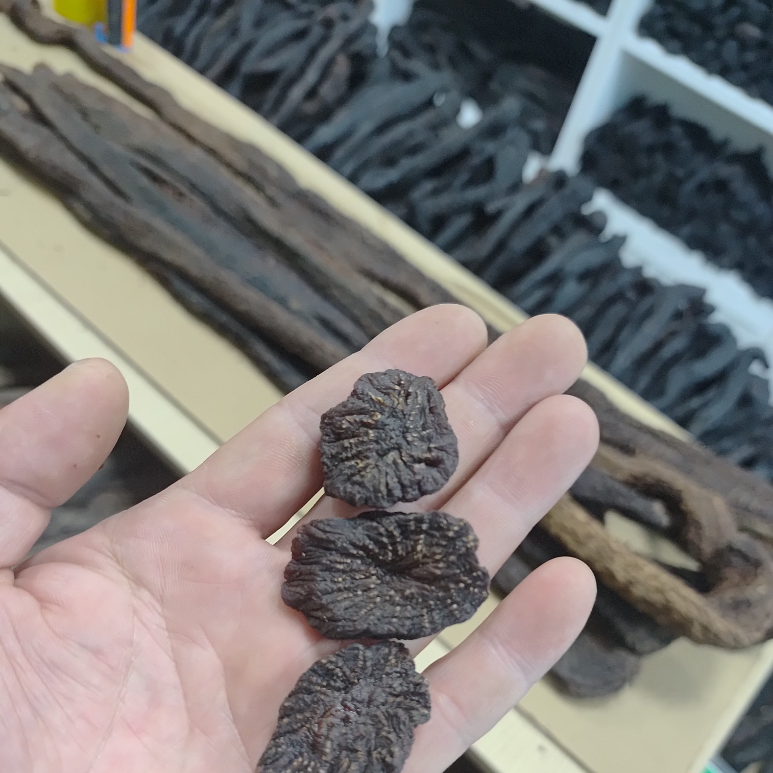 内蒙阿拉善高品质肉苁蓉适合泡水煲汤泡酒小片链接
