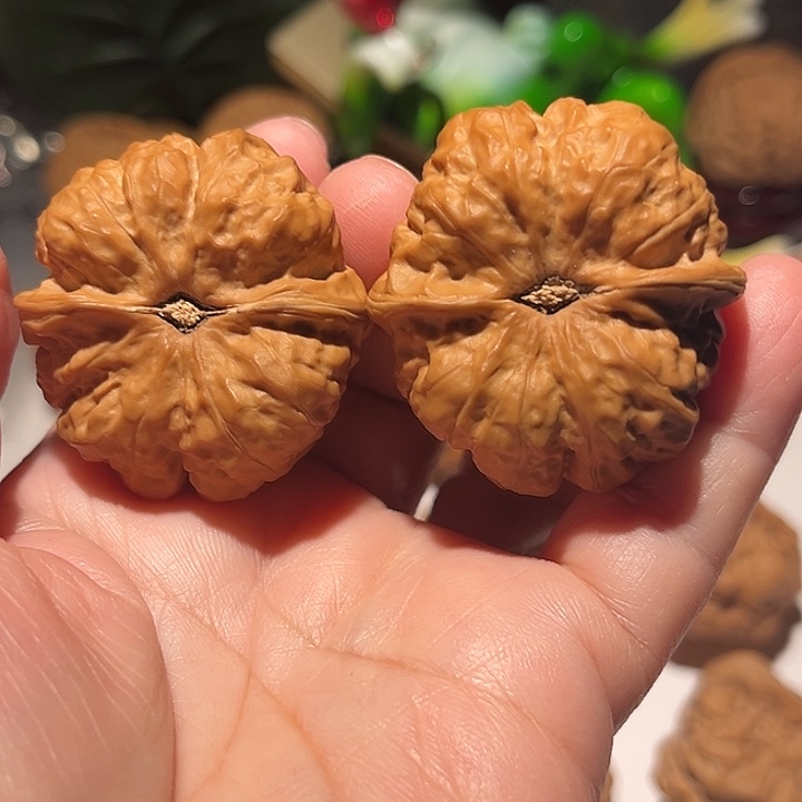 ✎***ঞ龙脊菩提吊坠蛤蟆头一对