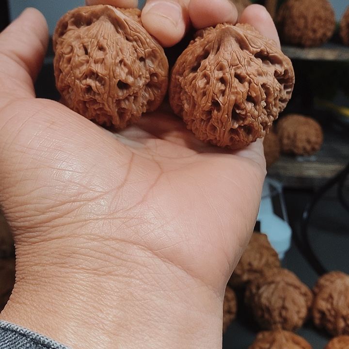 43尺大水龙红果骨质嘎嘎的