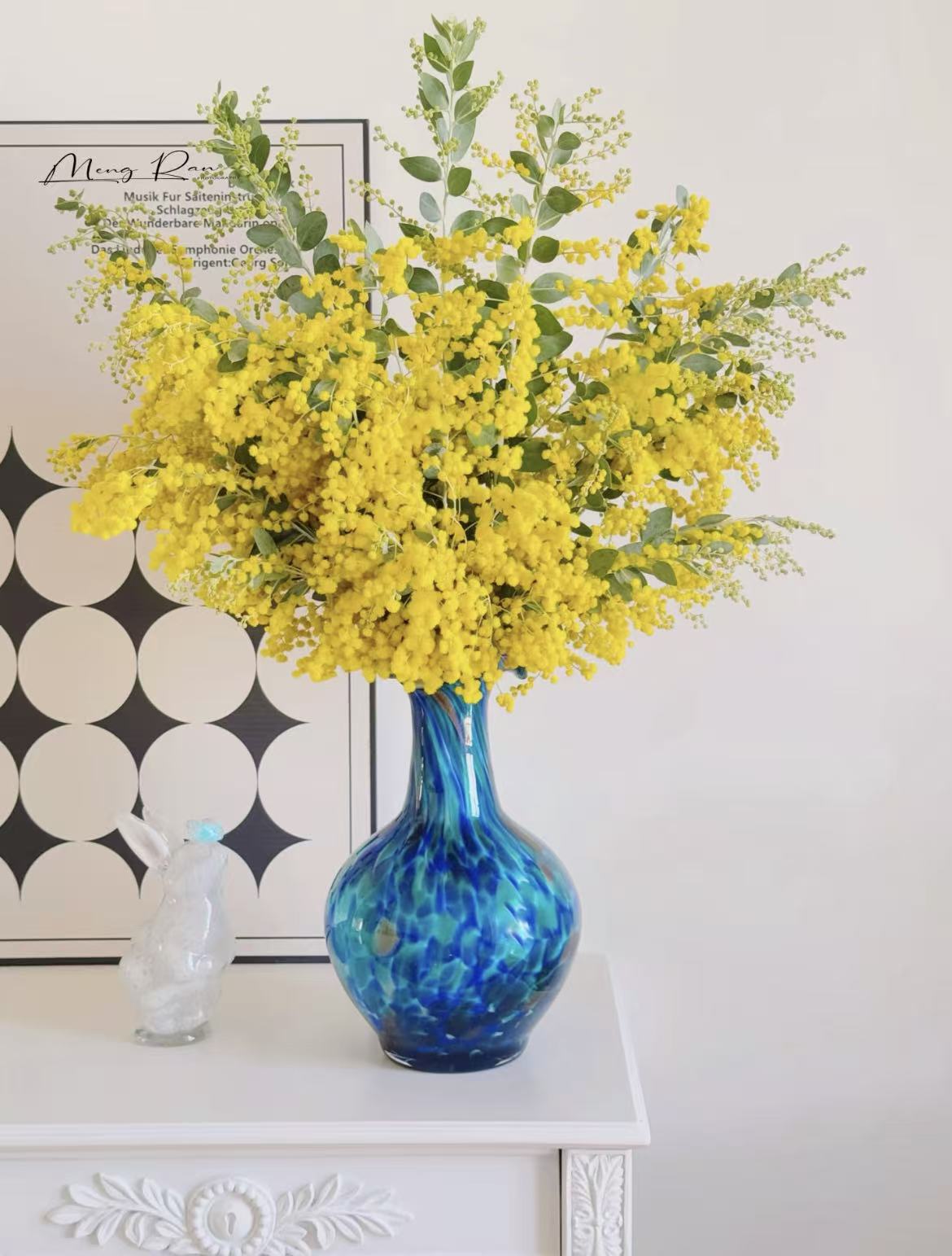 银叶金合欢鲜切花水培插花可做干花云南基地直发韶华鲜花生肖花束